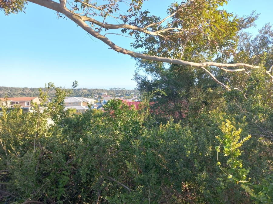 0 Bedroom Property for Sale in Zeegezicht Western Cape